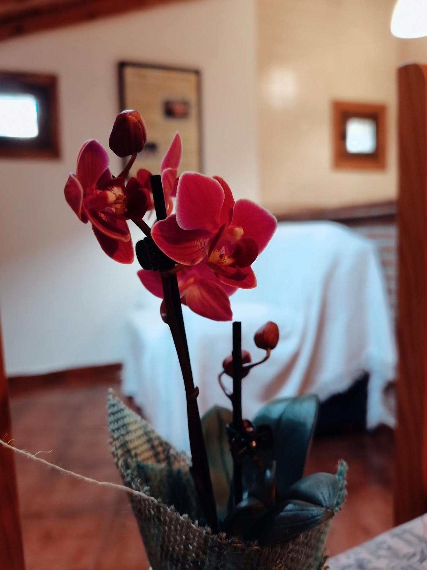 גרגאנטה לה אולה Casa Rural Parada Real מראה חיצוני תמונה