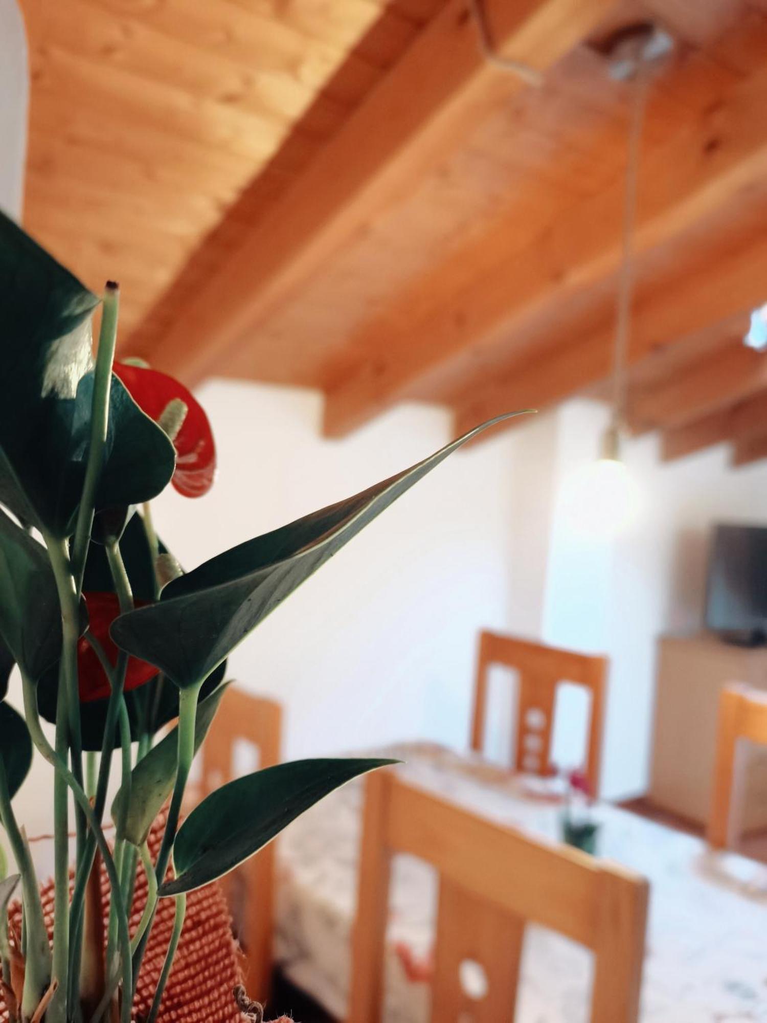 גרגאנטה לה אולה Casa Rural Parada Real מראה חיצוני תמונה